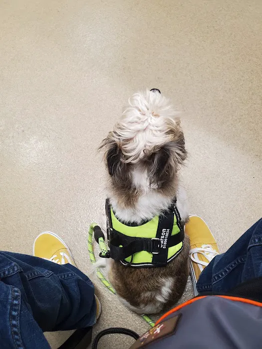 Boght Veterinary Clinic 3