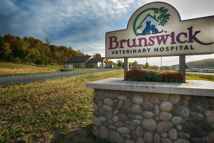 Brunswick Veterinary Hospital 2