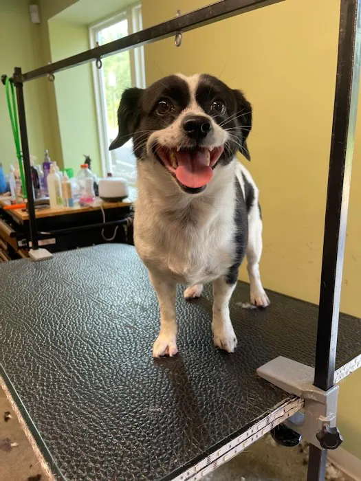 Beaver Brook Animal Hospital 12