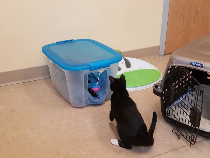 Beaver Brook Animal Hospital 12