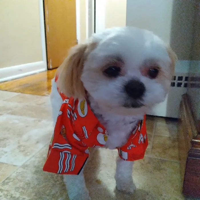 Beaver Brook Animal Hospital 12