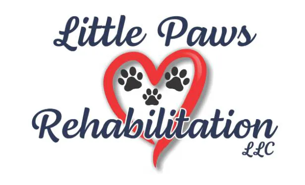 Little Paws Rehab 12