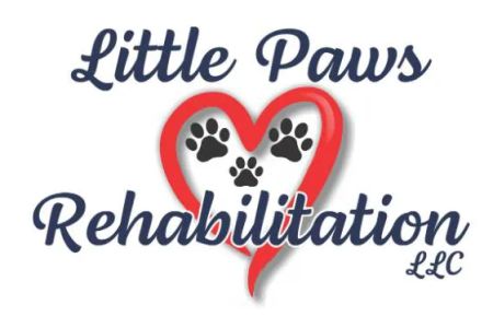 Little Paws Rehab