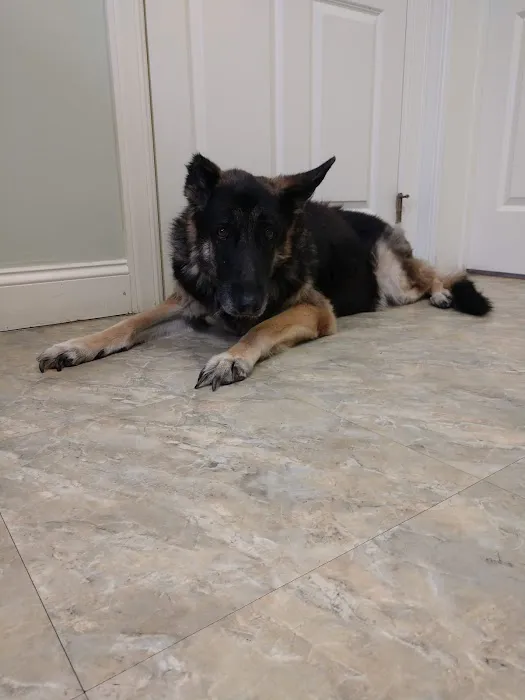 Higganum Veterinary Clinic 12