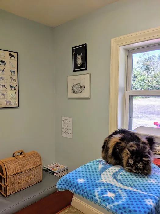 Higganum Veterinary Clinic 12
