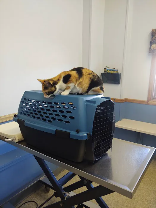 Cobalt Veterinary Clinic 12