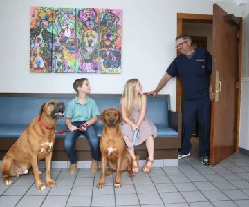 Glastonbury Veterinary Hospital