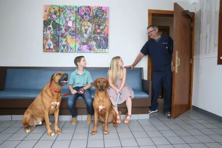 Glastonbury Veterinary Hospital