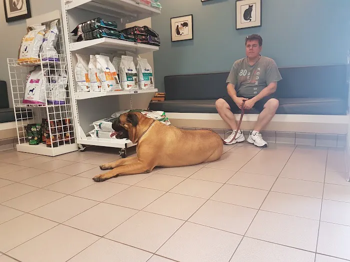 Glastonbury Animal Hospital 12