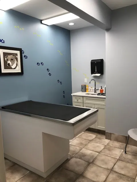 Glastonbury Animal Hospital 12