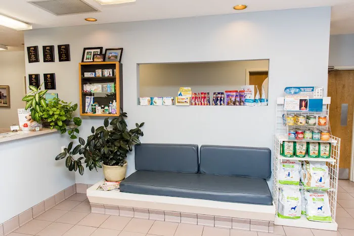 Glastonbury Animal Hospital 12