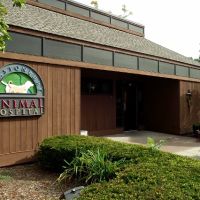 Glastonbury Animal Hospital ico