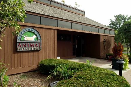 Glastonbury Animal Hospital