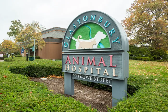 Glastonbury Animal Hospital 12