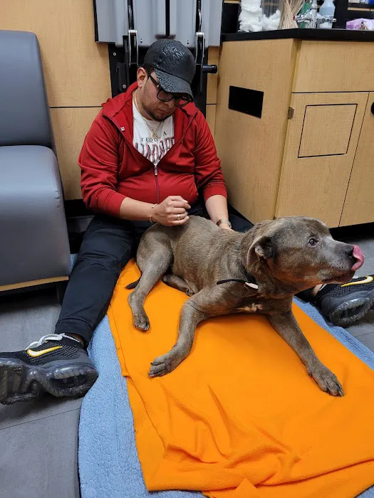 Banfield Pet Hospital 12
