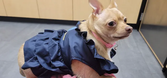 Banfield Pet Hospital 12