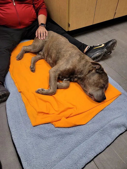 Banfield Pet Hospital 12