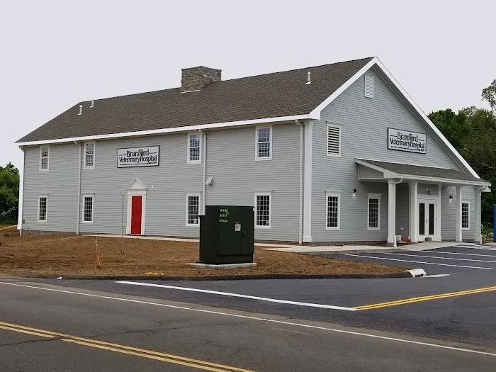 Branford Veterinary Hospital 12