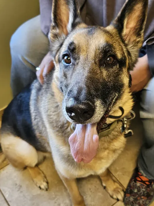 Branford Veterinary Hospital 12