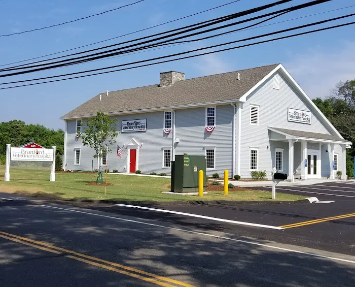 Branford Veterinary Hospital 12