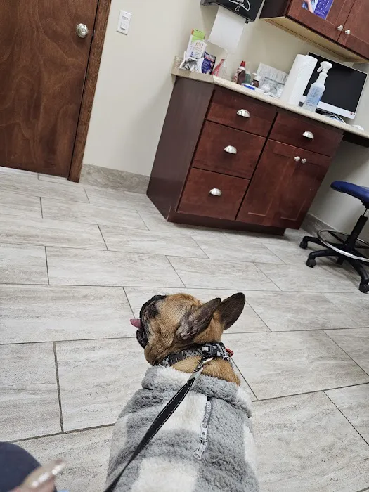 Guilford Animal Medical Center 12