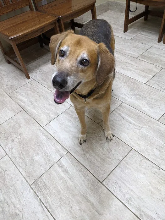 Guilford Animal Medical Center 12