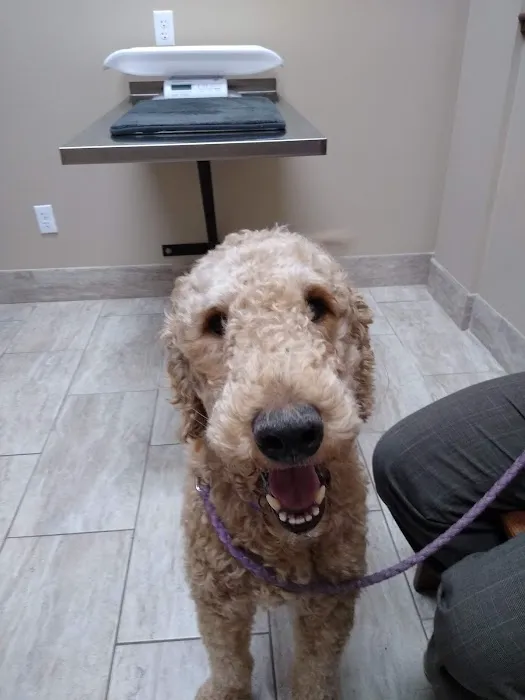 Guilford Animal Medical Center 12