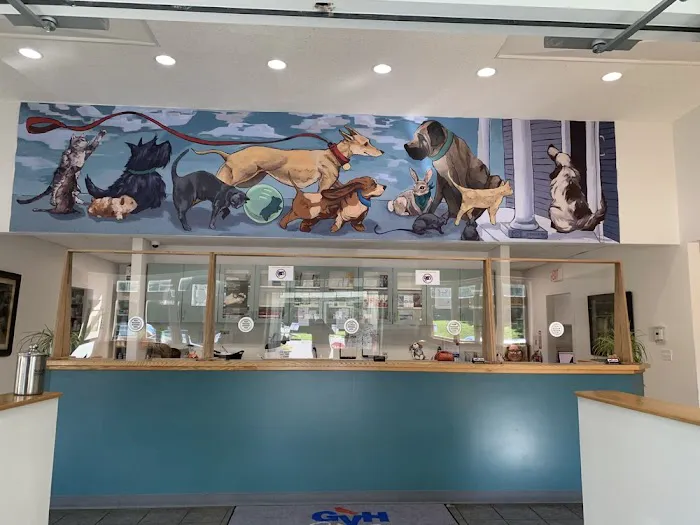 Guilford Veterinary Hospital 12