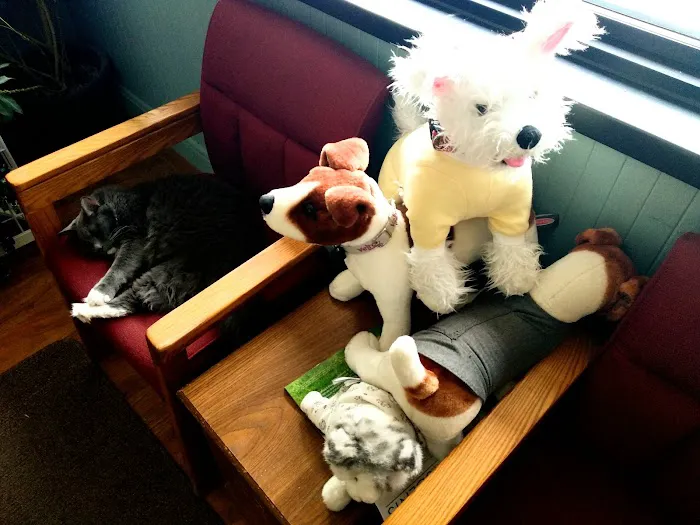 Oneonta Veterinary Hospital 12