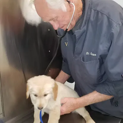 Delhi Animal Hospital 12