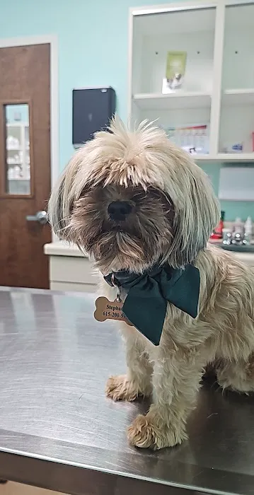 Kittrell Animal Hospital 6