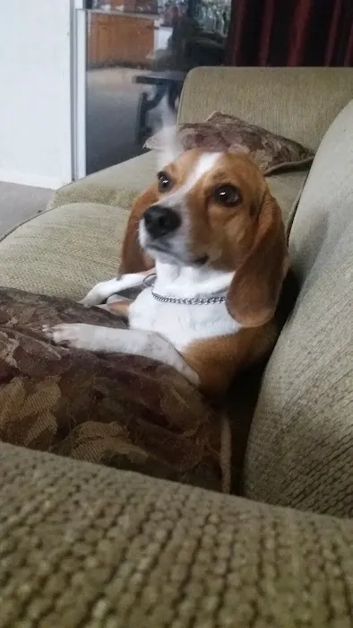 Kittrell Animal Hospital 10