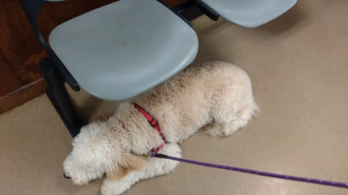 Kittrell Animal Hospital 7