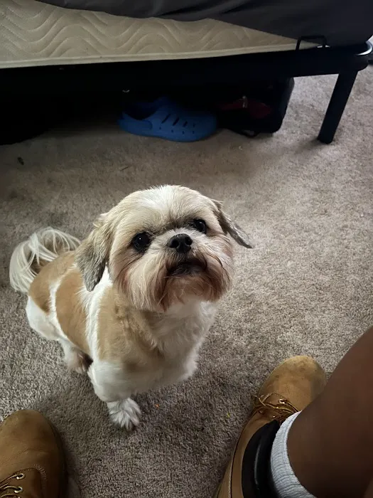 Kittrell Animal Hospital 3