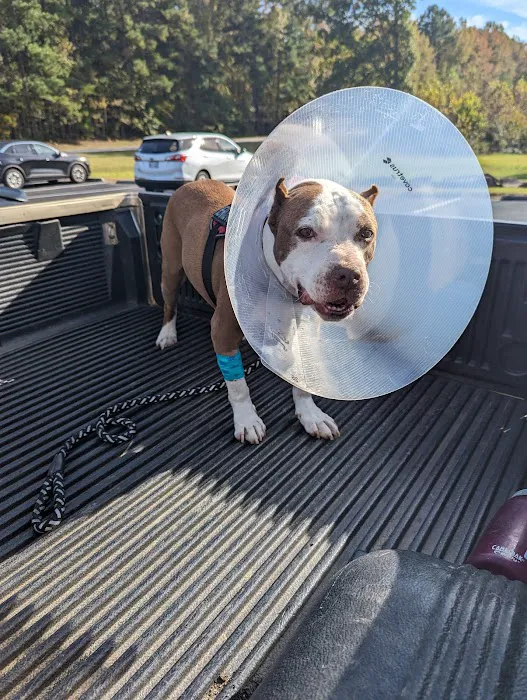 Kittrell Animal Hospital 1