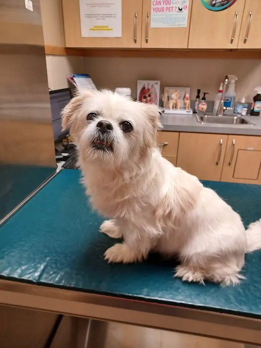 Riverside Veterinary Hospital 12
