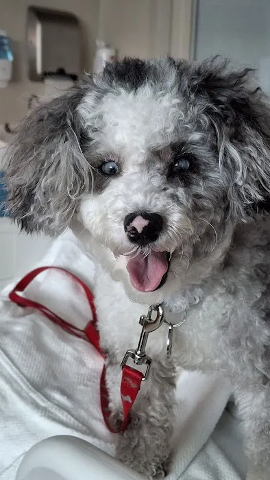 Riverside Veterinary Hospital 12