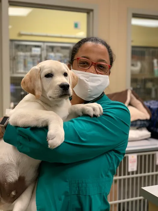 Riverside Veterinary Hospital: Meachem Chandra DVM 12