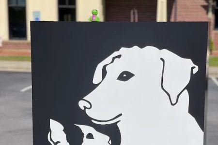 Riverside Veterinary Hospital: Meachem Chandra DVM