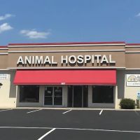 Animal Hospital of Pitt County ico