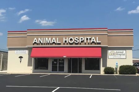 Animal Hospital of Pitt County