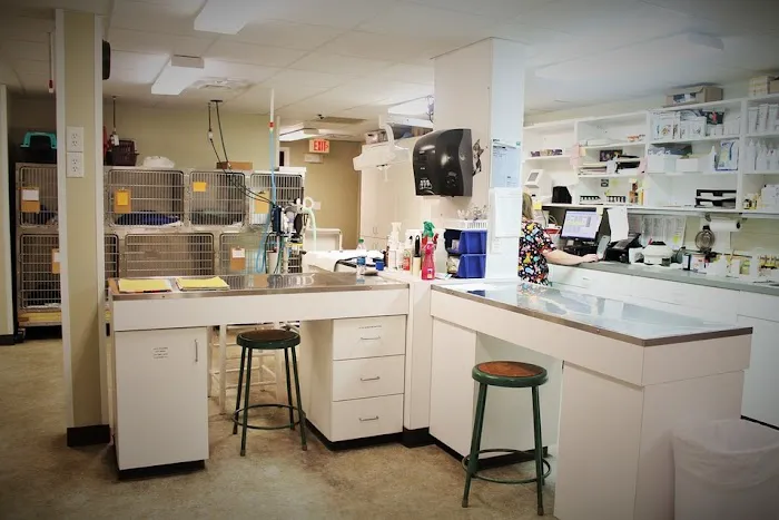 Animal Hospital of Pitt County 7