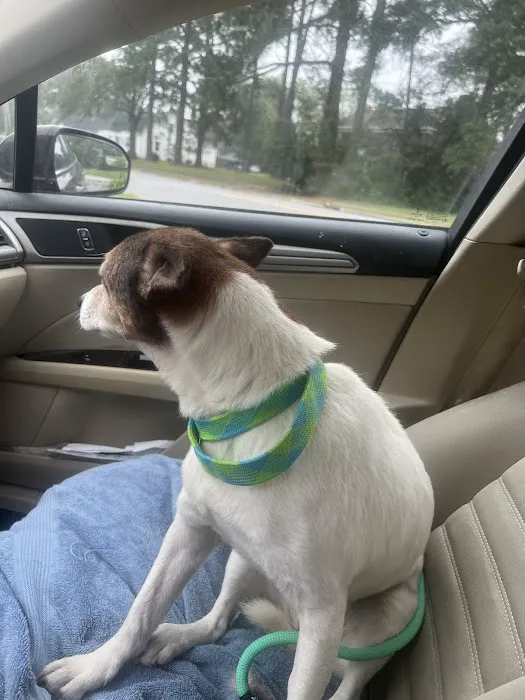 Animal Hospital of Pitt County 6