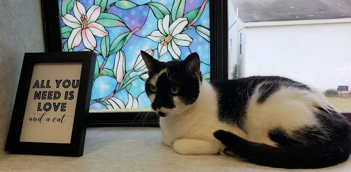 Trinity Veterinary Hospital 12