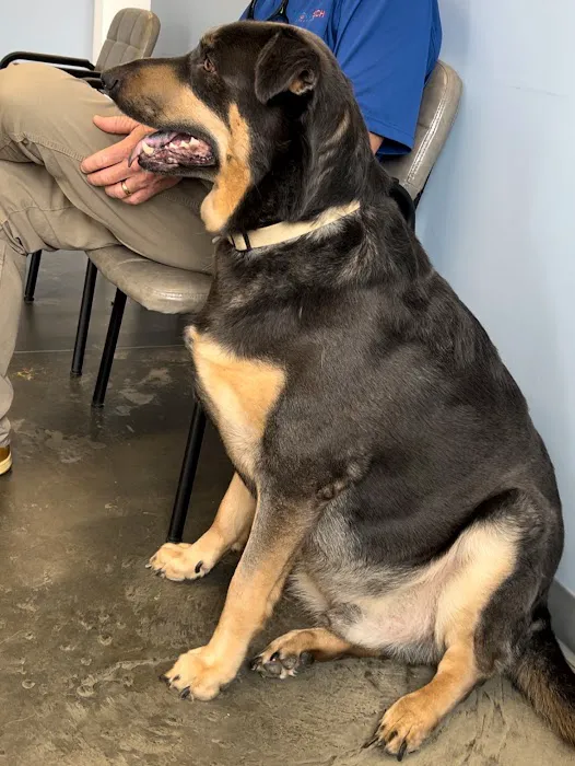 Welcome Waggin' Animal Hospital 12