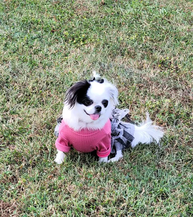Banfield Pet Hospital 6