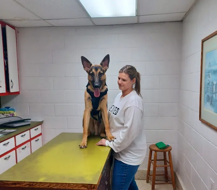 Northside Animal Hospital 12