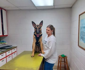 Northside Animal Hospital