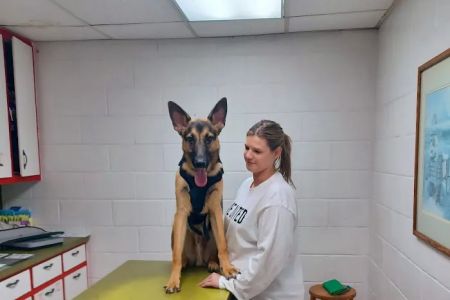 Northside Animal Hospital