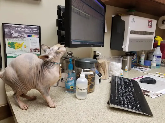 Five Oaks Animal Hospital 12